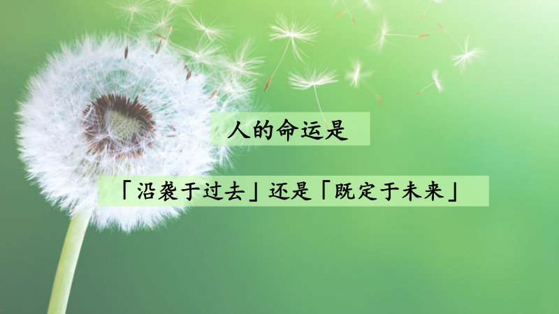 人的命运是「沿袭于过去」还是「既定于未来」