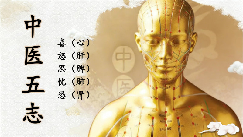 中医五志》：喜（心）／怒（肝）／思（脾）／忧（肺）／恐（肾）
